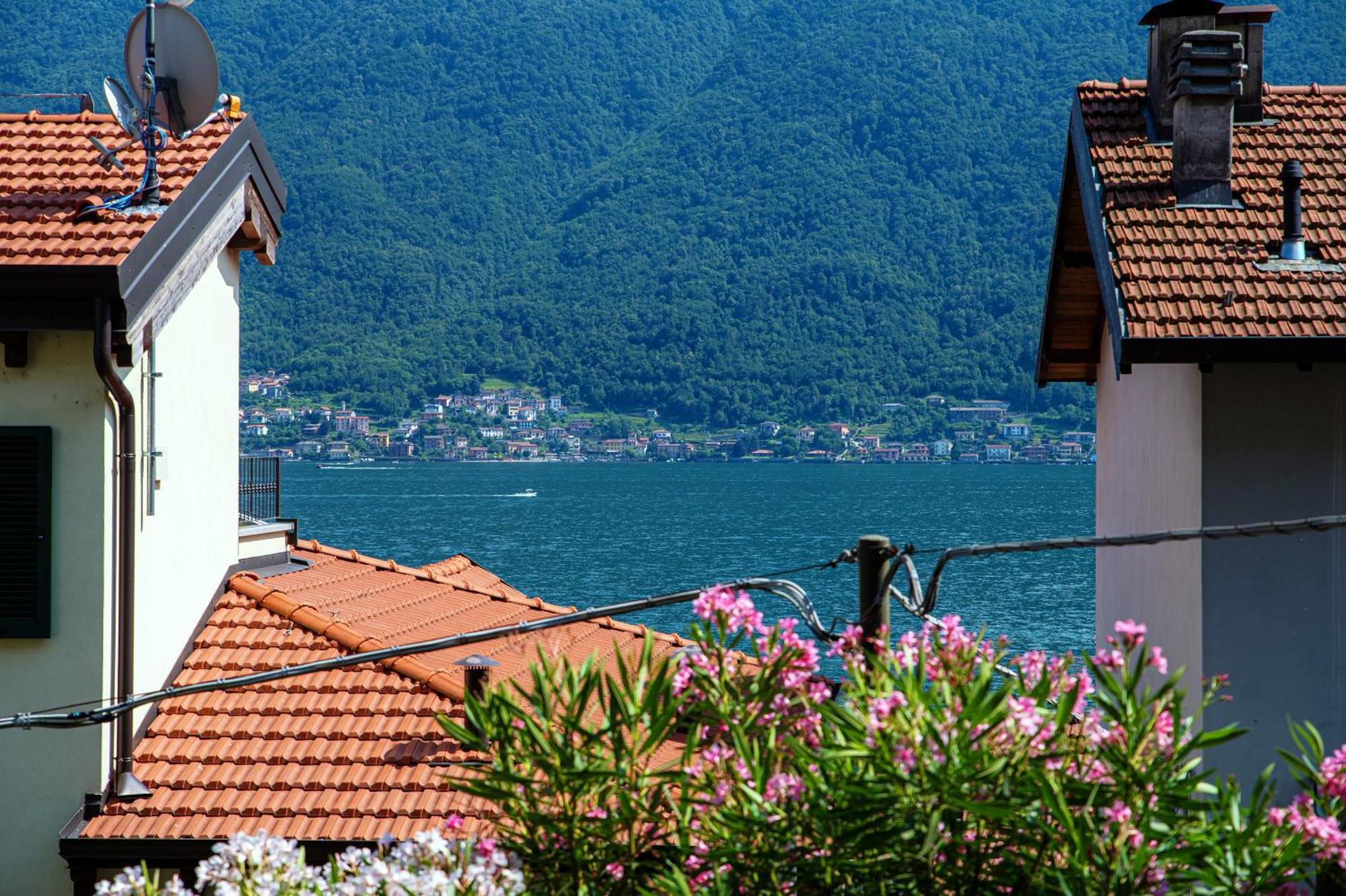 Delizioso Bilocale Vista Lago Colonno Εξωτερικό φωτογραφία